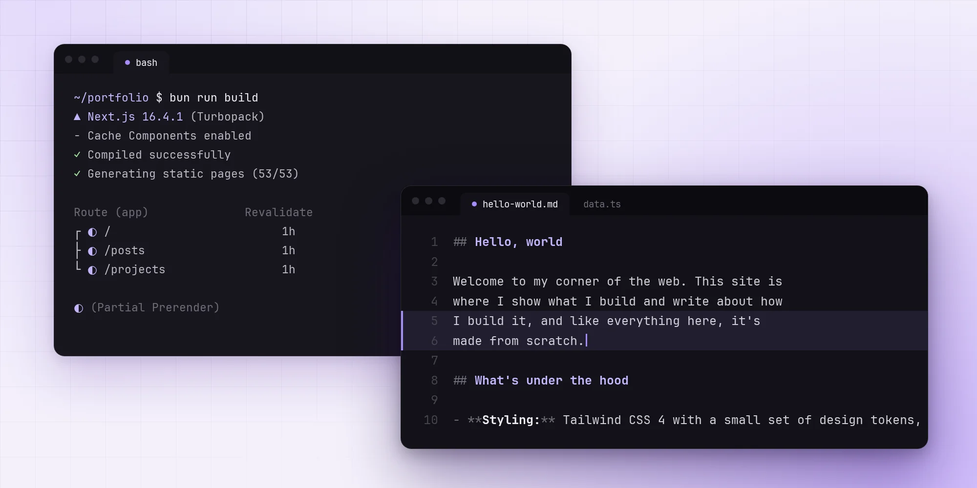 Hello World: Developer Portfolio's cover picture